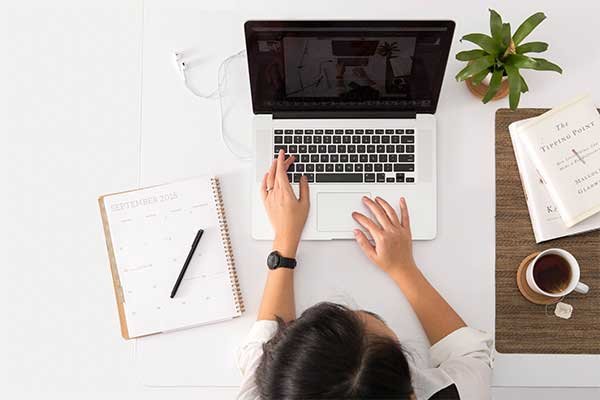 Python Software Developer Training